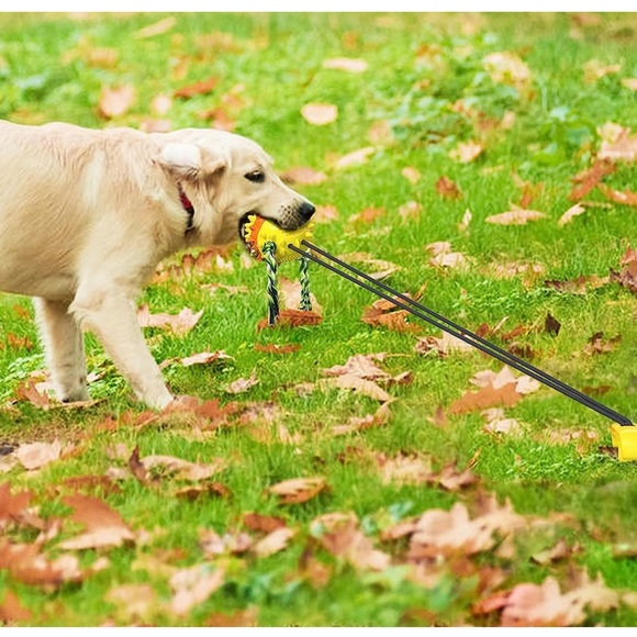 Tether Tug Outdoor Dog Toy Squeaky Jolly Egg - Picture 5 of 8